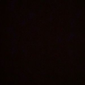 Meet your Posher, Oona